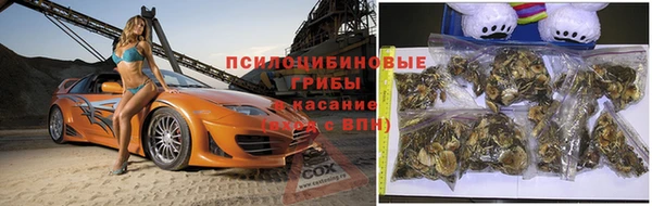 гидра Белокуриха