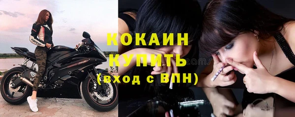 Альфа ПВП Богородск