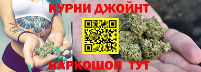 гидропоника Славгород