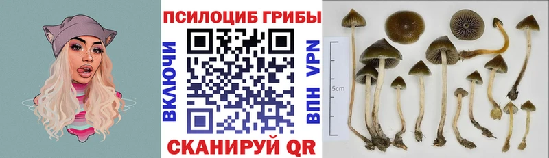 Галлюциногенные грибы ЛСД  Лыткарино 
