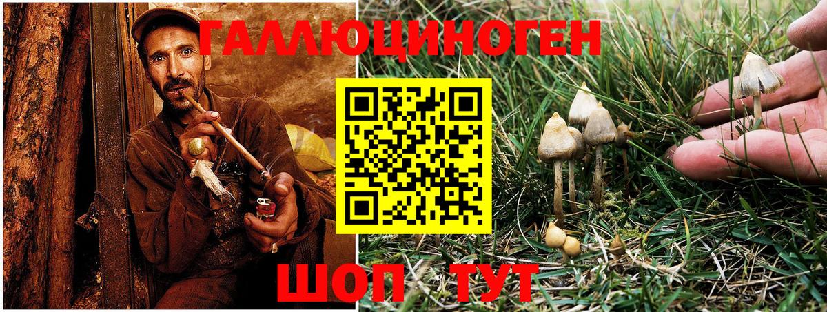 Галлюциногенные грибы MAGIC MUSHROOMS  Вход с VPN  Лыткарино 